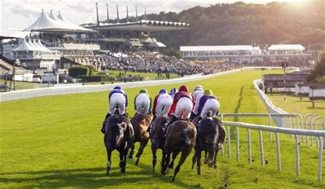 Goodwood Racecards .